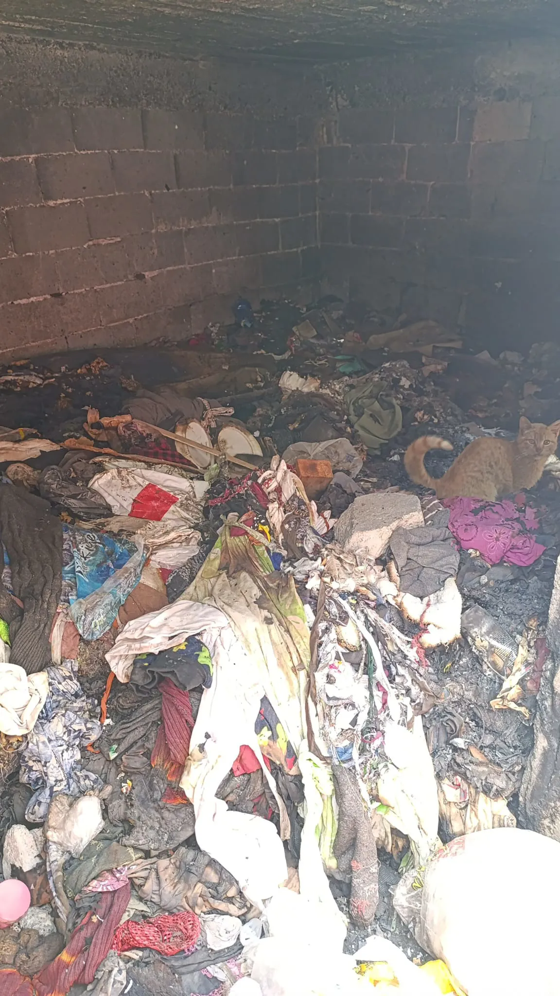 Daîreya Karûbarên Paqijiyê ya Şaredariya Baglarê dest bi paqijkirina xaniyên hilweşiyayî û terikandî yên ku bi mehan e nehatine paqijkirin kiriye.