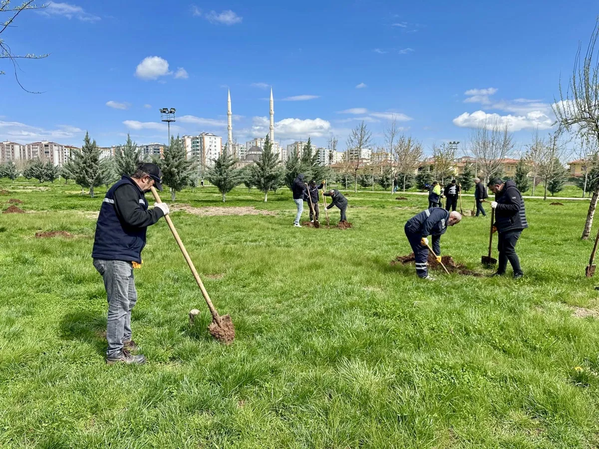 Yeşil alanları çoğaltmak için çalışmalar sürüyor