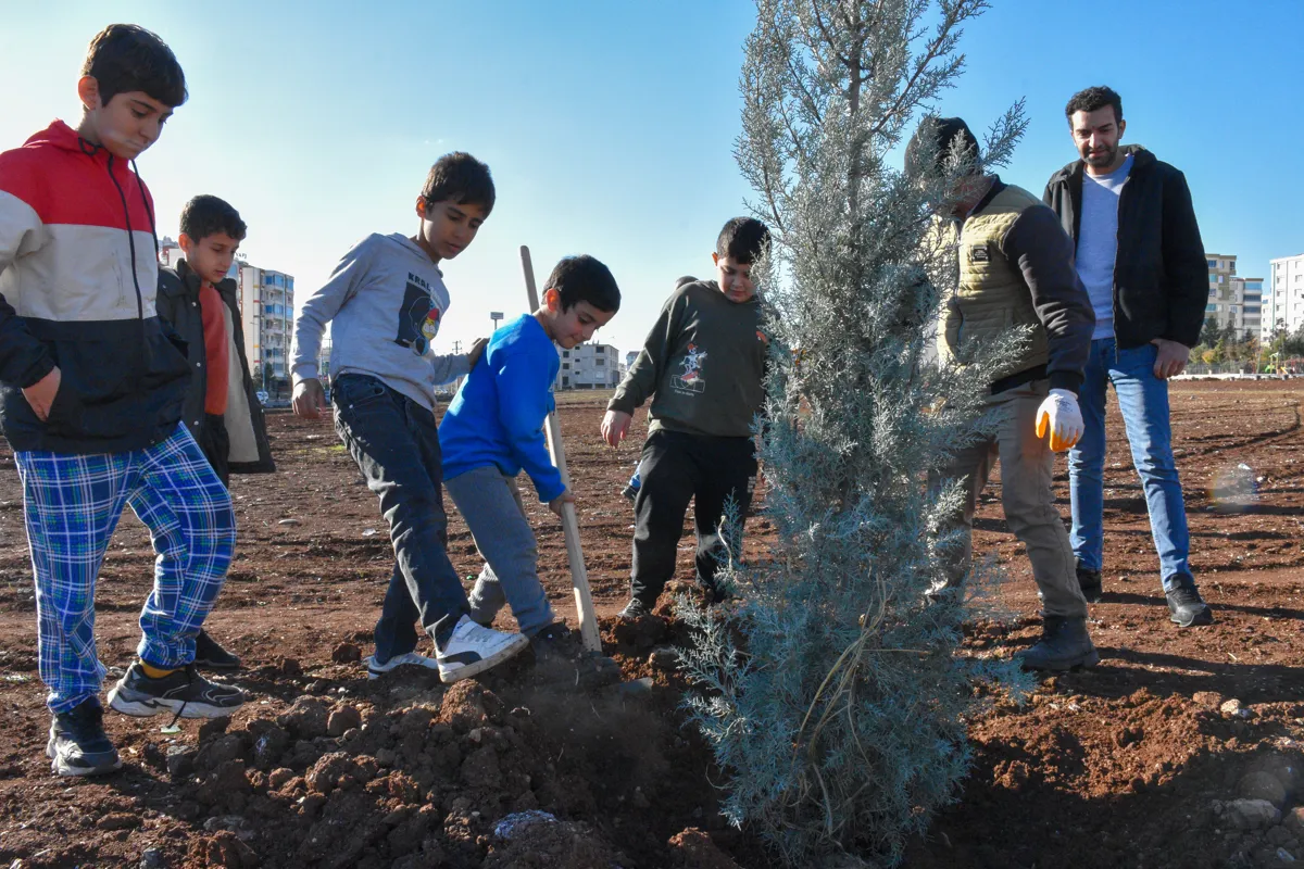 Karê li ser parkê, ku nav û naveroka wê dê ji hêla gel ve were destnîşankirin, berdewam dike: Welatiyan şitlên pêşîn ên parkê çandin.