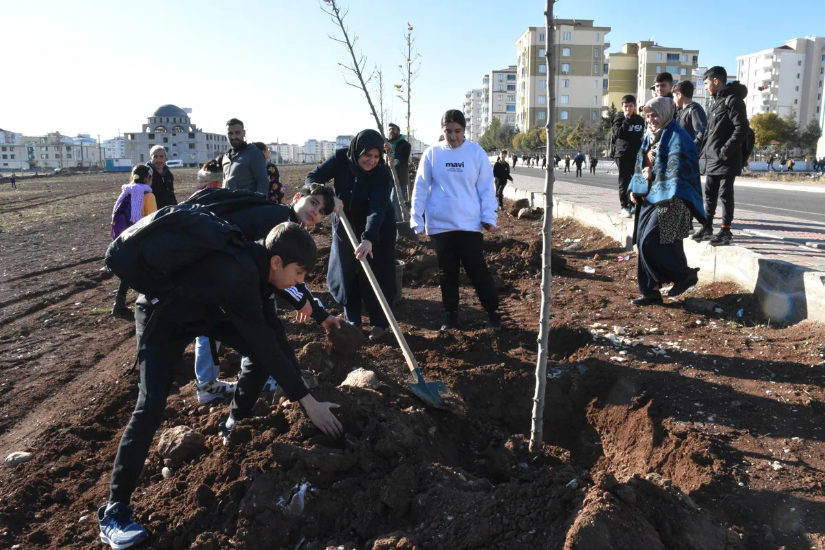 Rêveberiya Park û Baxçeyan li ser jîngehên kesk û qadên civakî dixebite.