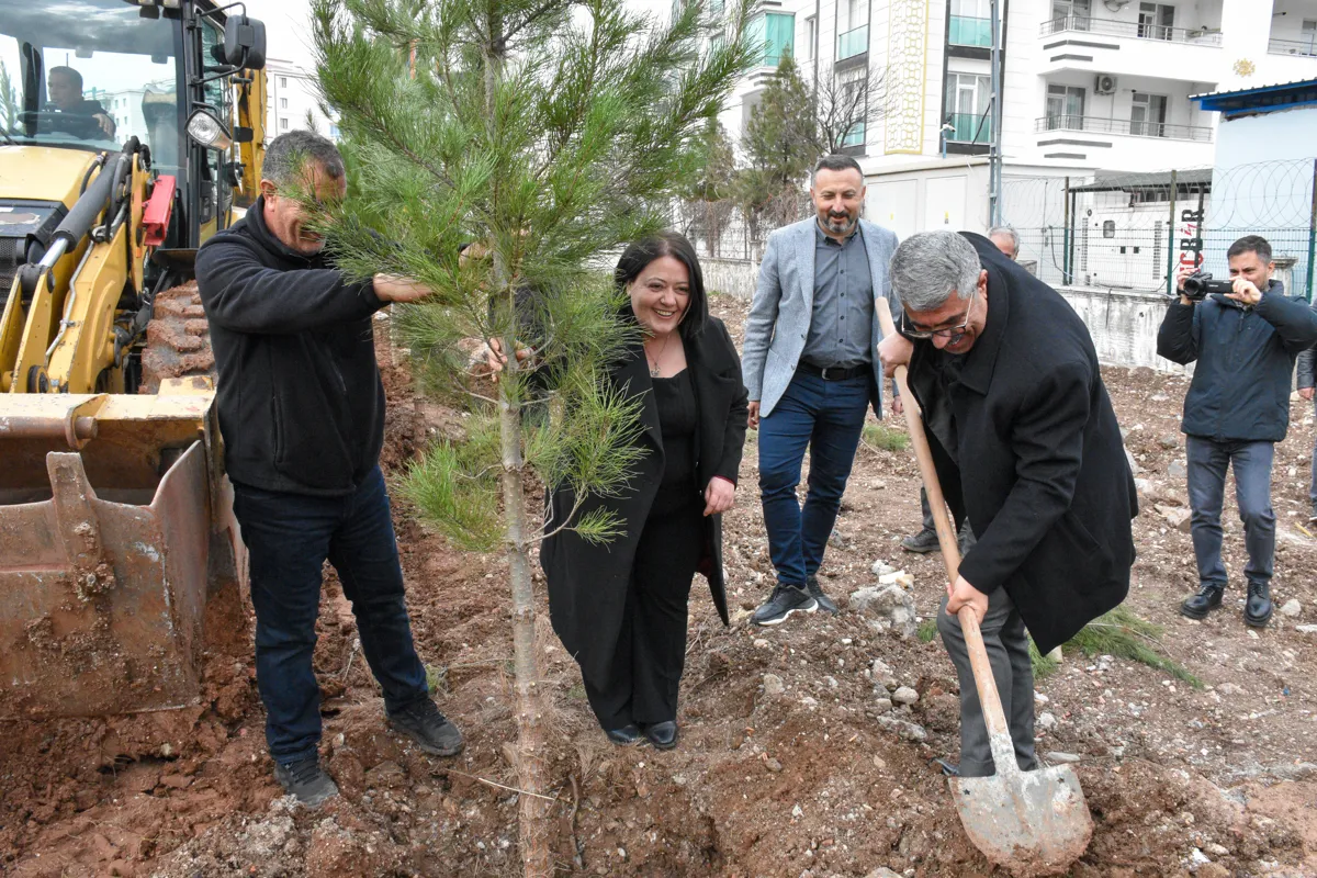 Projeya 'Kembera Kesk' li Baglarê: 16,500 metreçargoşe erd dê were daristankirin