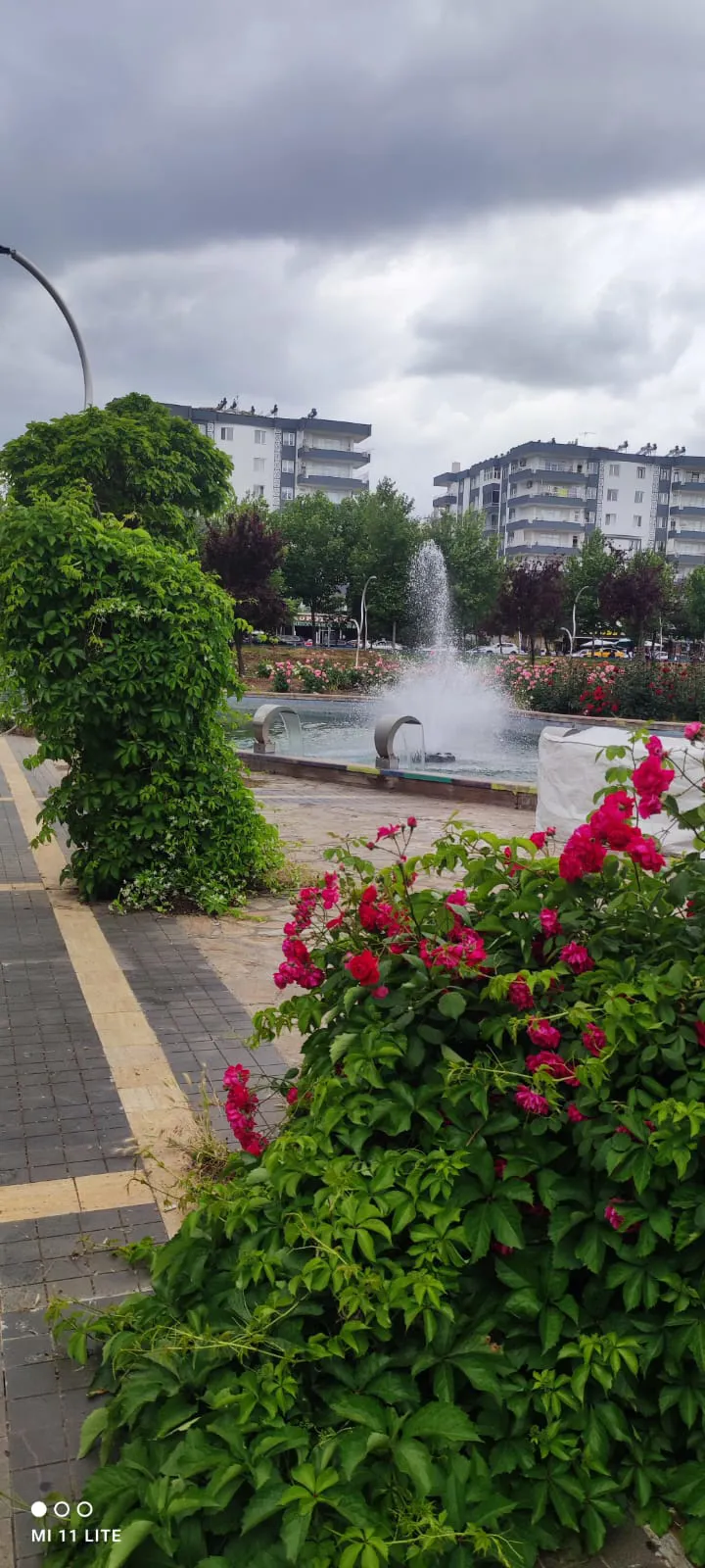 Rêveberiya Park û Baxçeyên me bi hemû leza xwe xebatên xwe didomîne.