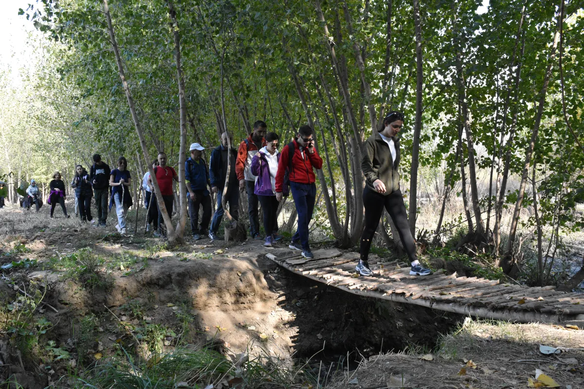 Li Baxçeyê Hevselê meşek xwezayî hate lidarxistin