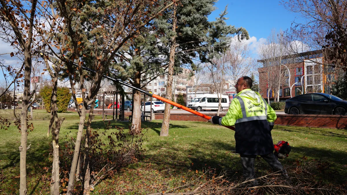 Budama çalışmaları başladı