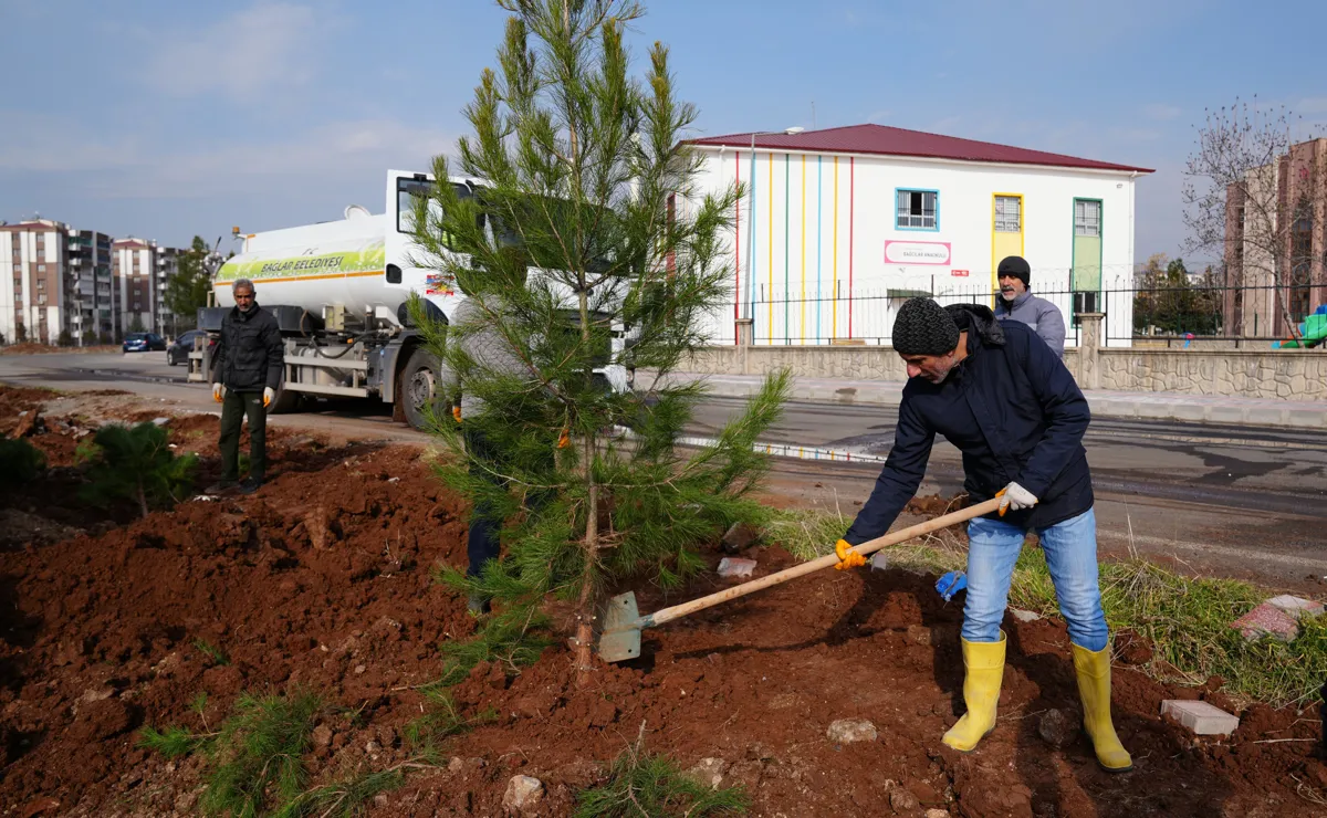 Taxa Bagcilarê tê daristankirin: 250 dar hatin çandin