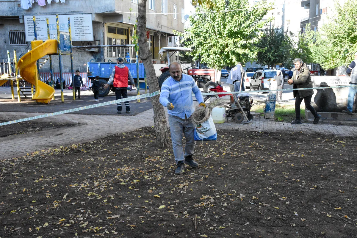 Xebatên ji bo qadên kesk û civakî berdewam dikin