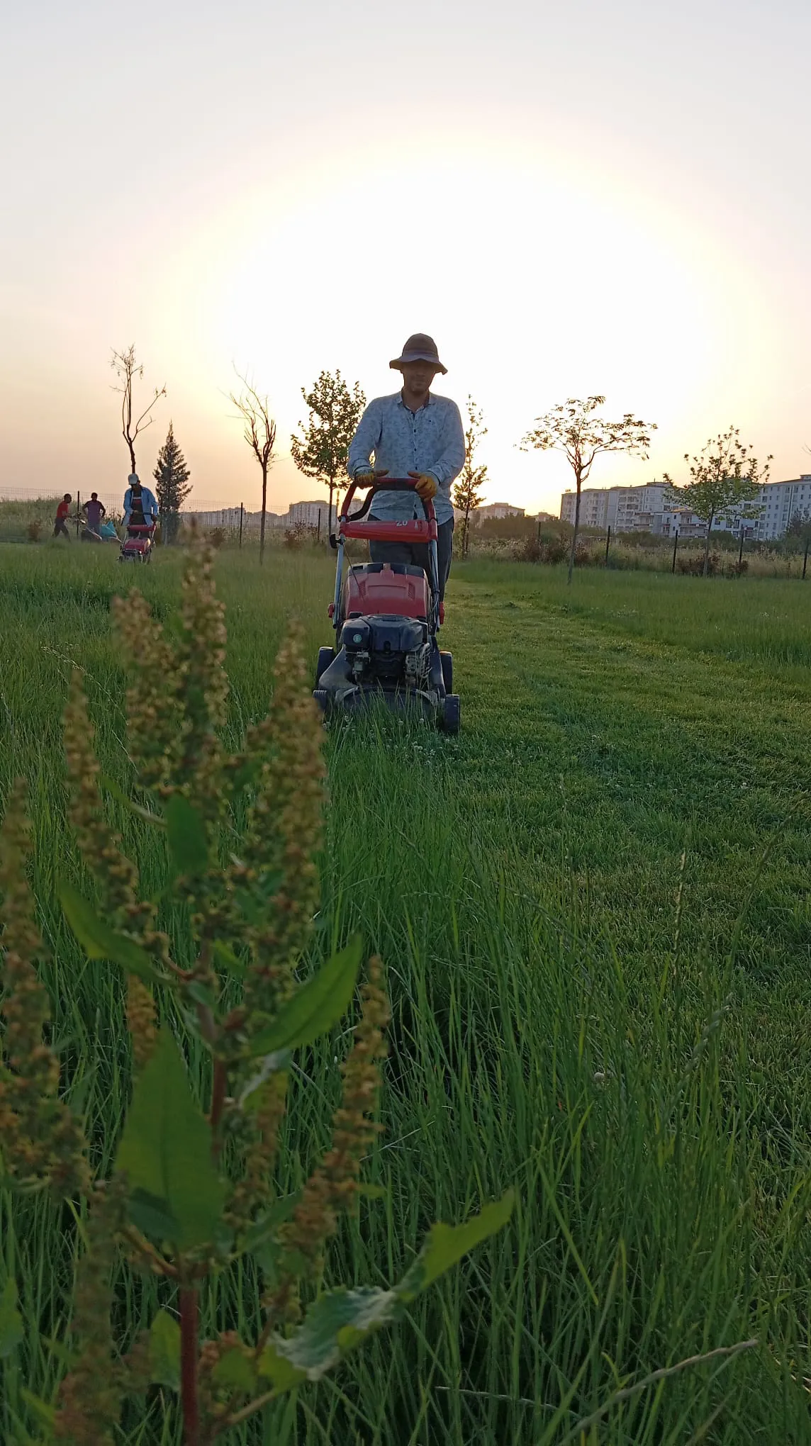 Rêveberiya Park û Baxçeyên me bi şev û roj, bi du şiftan xebata xwe didomîne.