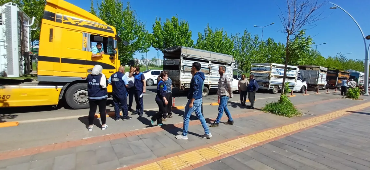 Bayram öncesi hayvan nakilleri kontrol ediliyor